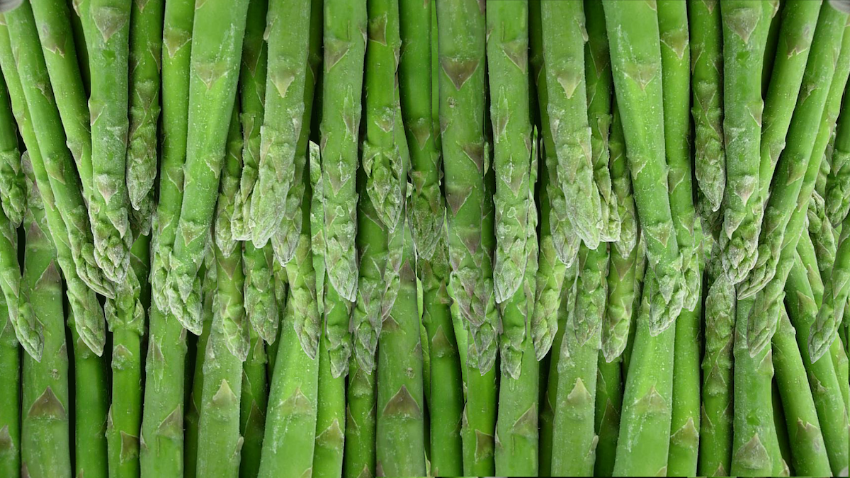 congelado-asparagus